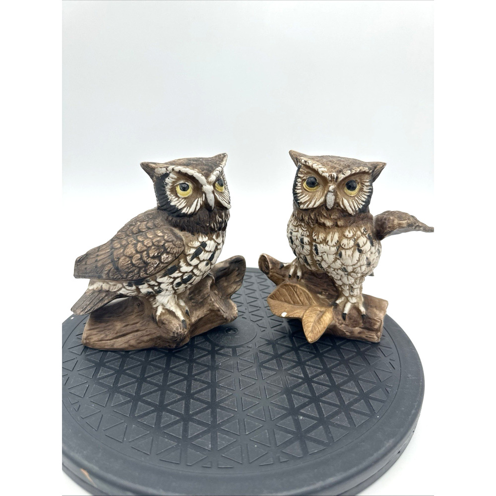 Set Of 2 Vintage Porcelain Bisque Homco “Great Horned Owl” Figurines
